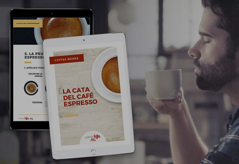 Nuevo e-Book: aprende a catar café como un profesional