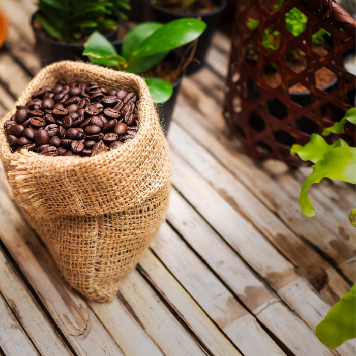 Cómo reutilizar los posos del café: 5 usos prácticos para tu jardín y hogar