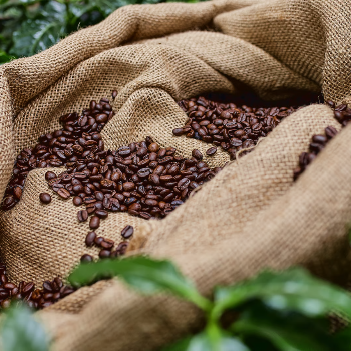 Beneficios del café ecológico en grano: por qué es mejor para ti y para el planeta