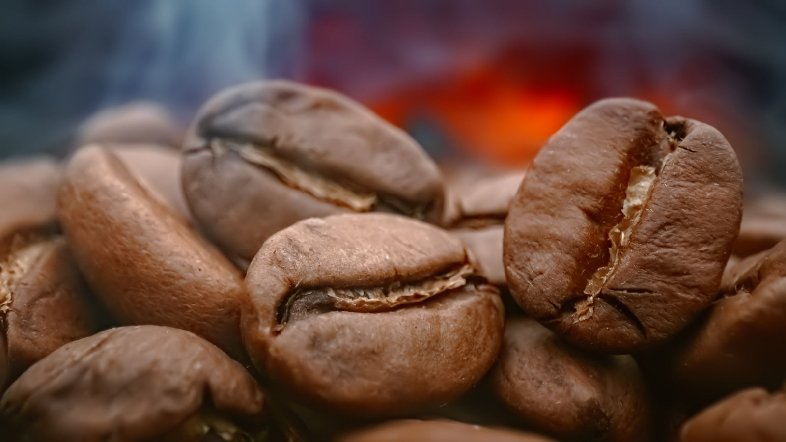 Café de especialidad en España: cómo elegir el mejor según tu gusto