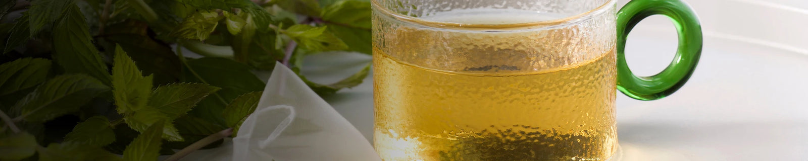 Infusiones de hierbas