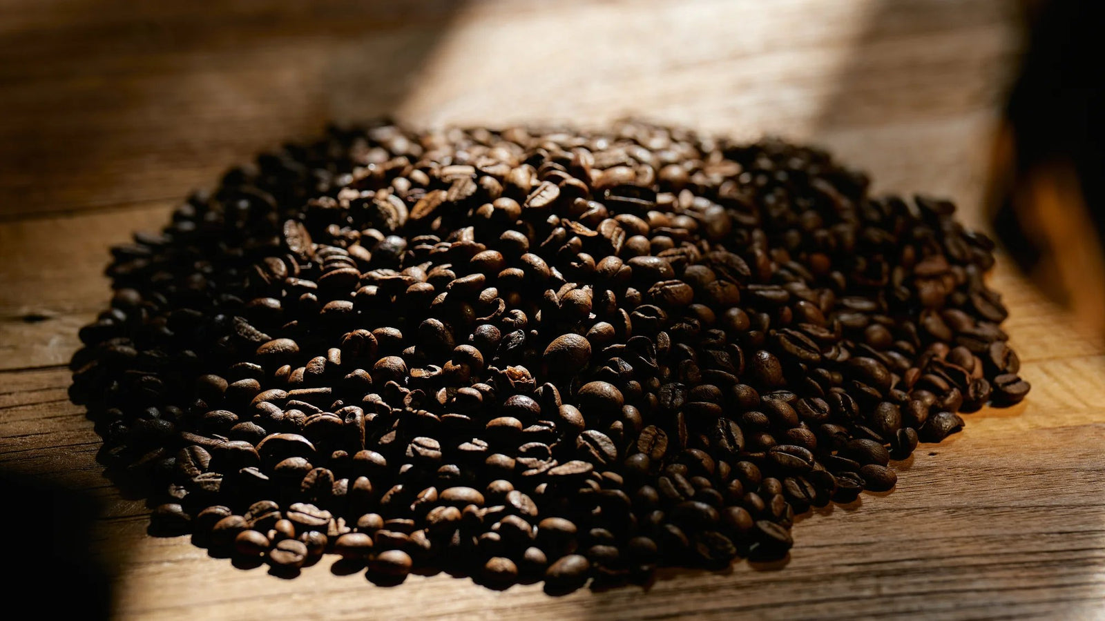 CAFÉ DE ESPECIALIDAD