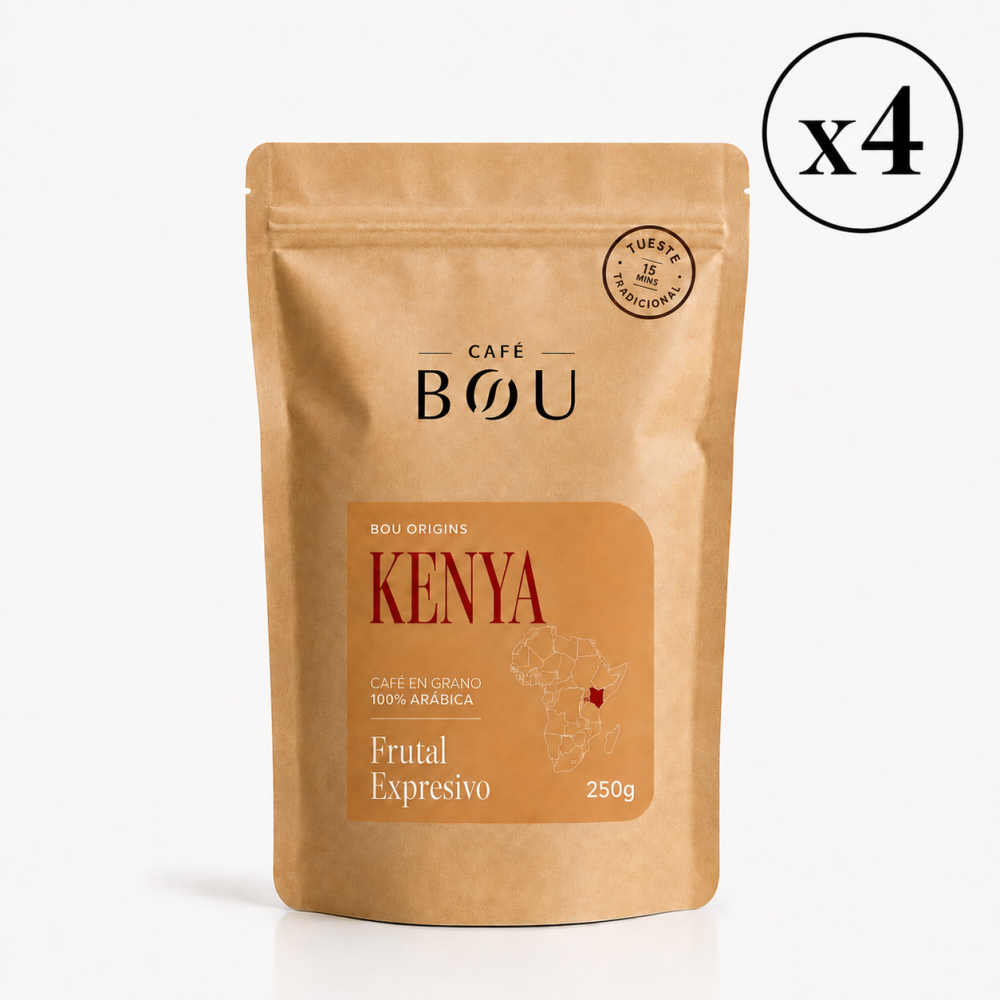 CAFÉ EN GRANO BOU ORIGINS KENYA 250 g - PACK 4