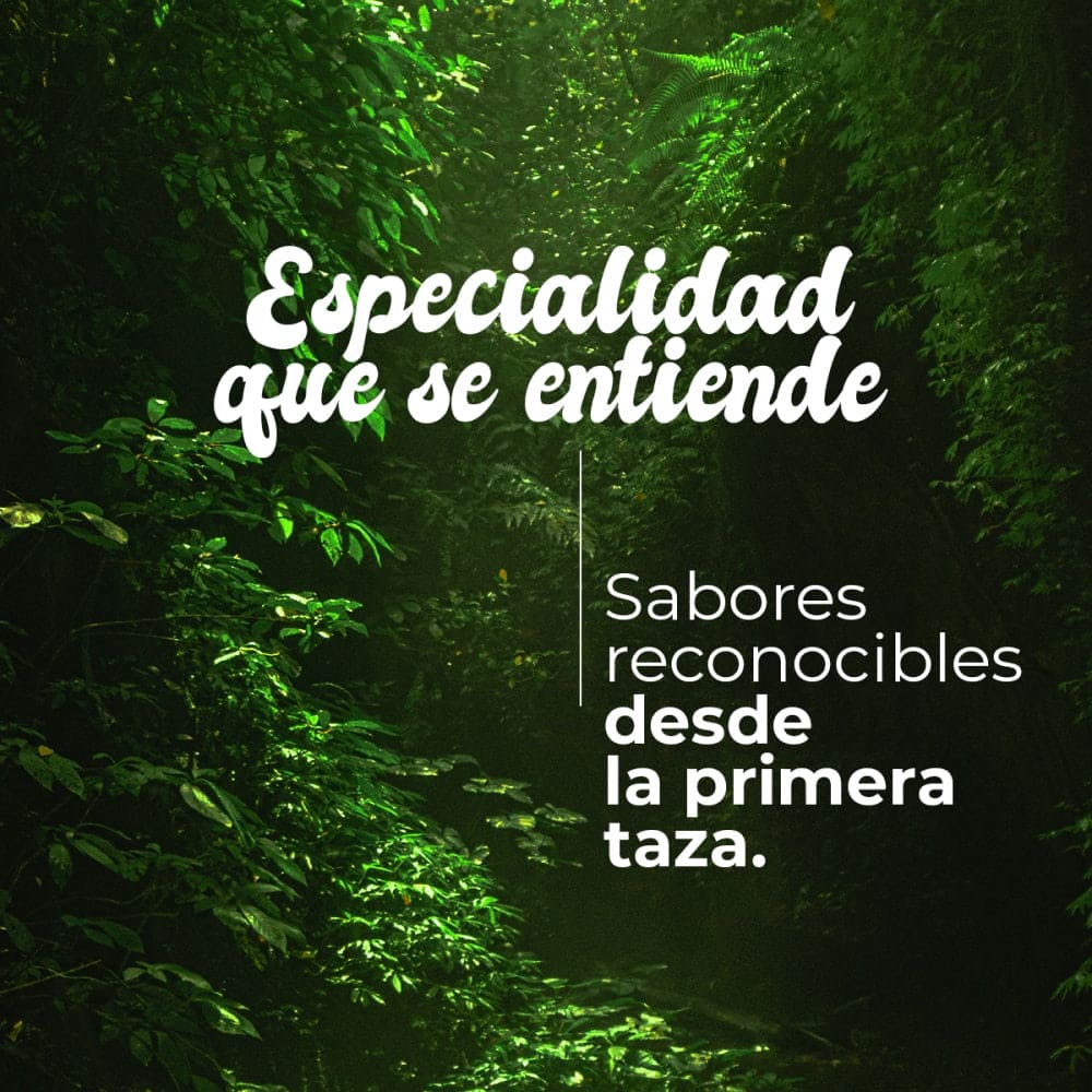 CAFÉ DE ESPECIALIDAD EN GRANO COLOMBIA -250 g