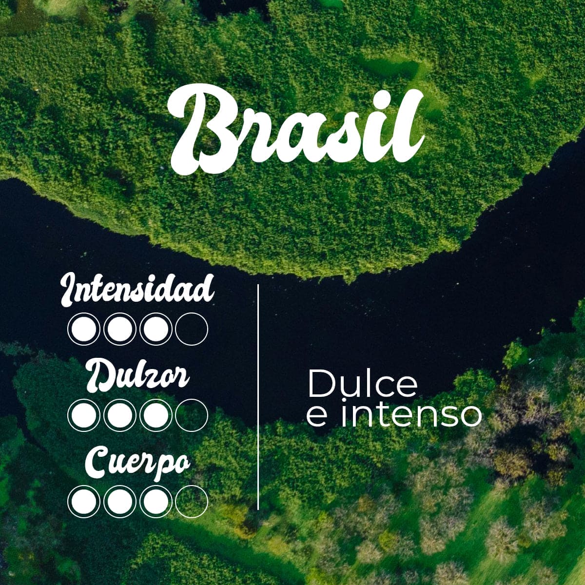 PACK DEGUSTACIÓN CAFÉ DE ESPECIALIDAD EN GRANO  2 ORÍGENES 2x250 g