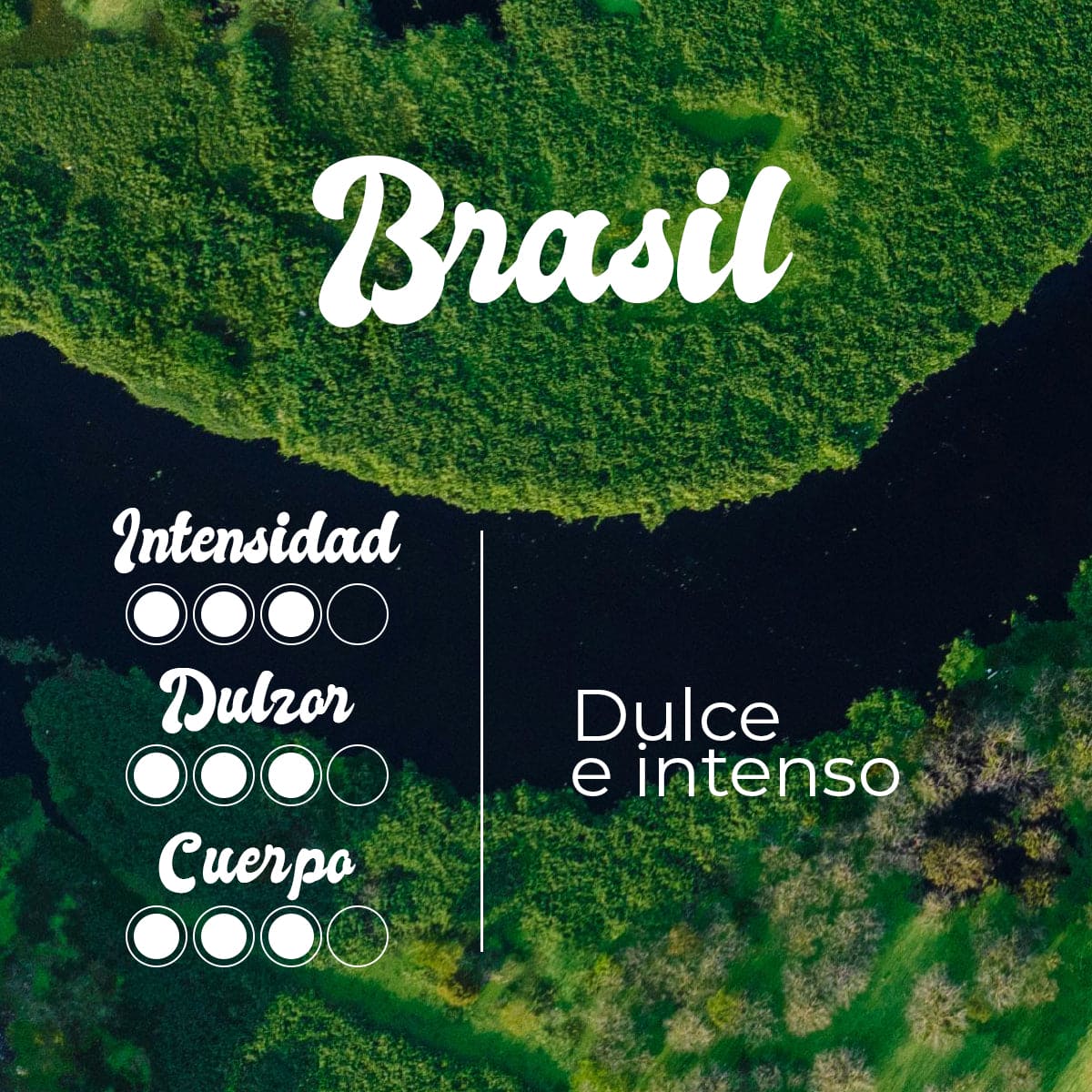 
                  
                    PACK DEGUSTACIÓN CAFÉ DE ESPECIALIDAD EN GRANO  3 ORÍGENES -250 G- PACK 3
                  
                