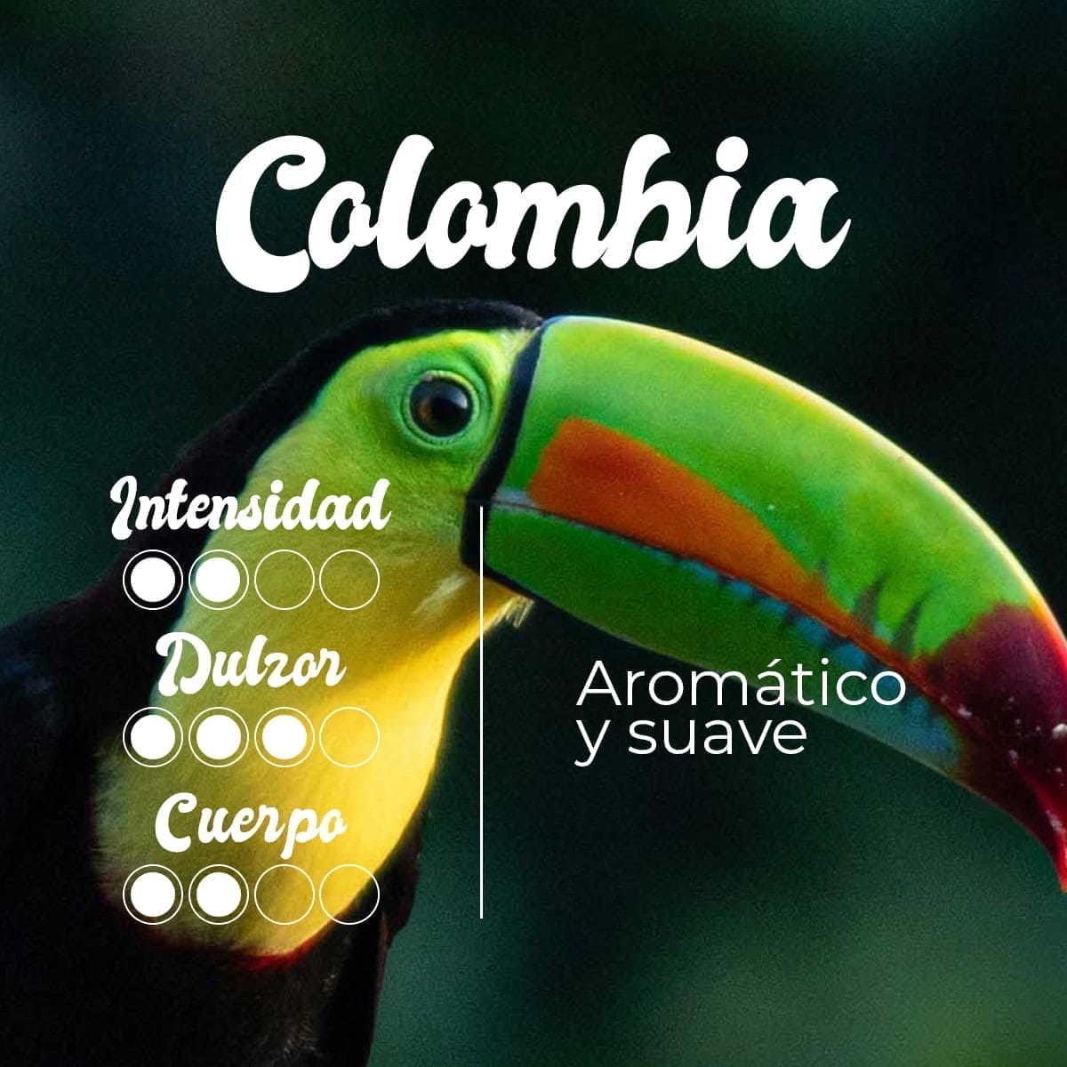 PACK DEGUSTACIÓN CAFÉ DE ESPECIALIDAD EN GRANO  2 ORÍGENES 2x250 g